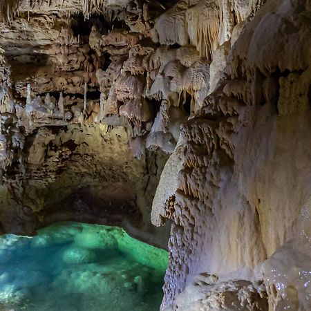 #6 The Root Cellar At Garrison In Gruene Villa New Braunfels Ngoại thất bức ảnh